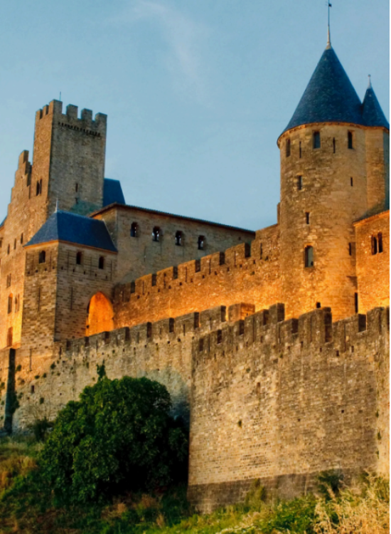 The Fortress for Wealth Preservation